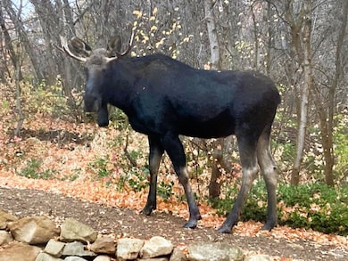 26 Birch Creek Dr unit D26, Fairview, UT 84629 - photo 6
