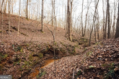 28.61 ACRES Sandy Creek Rd, Madison, GA 30650 - photo 6