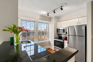 The Charlesview unit 507, Boston, MA 02215 - photo 2
