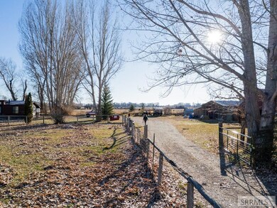 Tree lined driveway to home