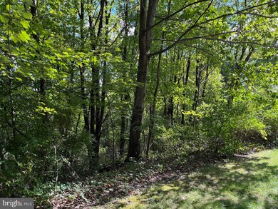 Lots 68 & 70 Evergreen Dr, Tamaqua, PA 18252 - photo 3