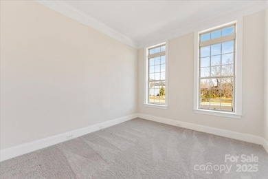 45419 Misty Bluff Dr, Steele Creek, NC 28278 - photo 4