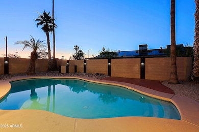 Backyard 9