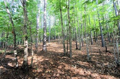 0 Chasewood Dr unit 8, Rutherfordton, NC 28139 - photo 7