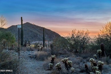 20568 N 112th St unit 1707, Scottsdale, AZ 85255 - photo 4