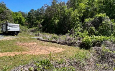 393 Old Orchard Rd, Ellijay, GA 30536 - photo 6