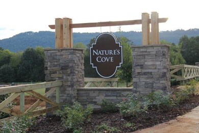 Nature's Cove - Beautiful new neighborhood in the Hampton Cove Area!  Pool & Clubhouse.