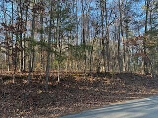 1887 Dogwood Dr, Chattanooga, TN 37406 - photo 3