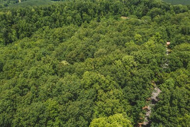 DJI_0303