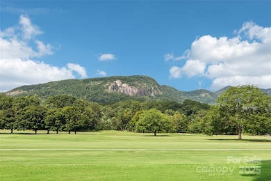 135 Fox Run Blvd unit 804, Lake Lure, NC 28746 - photo 2