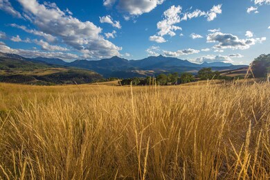 IMG_1021