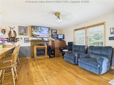 268 Mountain View Dr, Big Springs, WV 26137 - photo 4