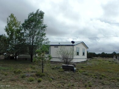 8777 Bruce Dr, Show Low, AZ 85901 - photo 4