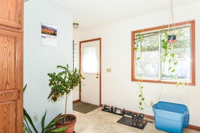 Green Meadow 5061-6