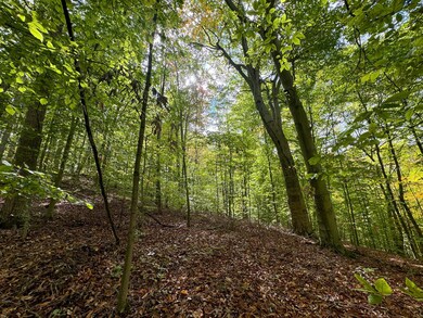 7447 Township Road 215a unit (Tract 6 at Shawnee, Corning, OH 43730 - photo 5