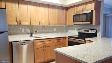 8105 Greenspring Way unit C, Owings Mills, MD 21117 - photo 4