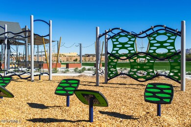 Canopy Amenities