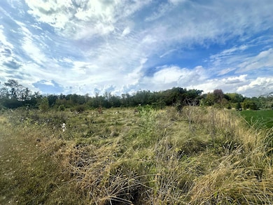 5048 Smokethorn Trail, Belvidere, IL 61008 - photo 4