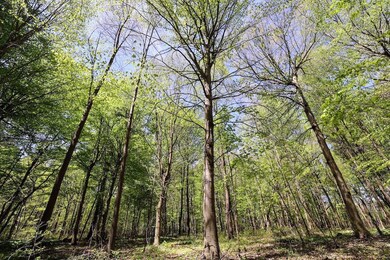 59371 4th Ave Lot unit WP001, Grand Junction, MI 49056 - photo 3