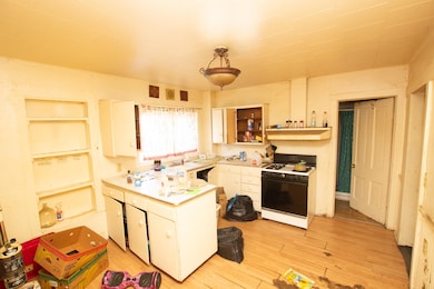 601 Chestnut St, Dowagiac, MI 49047 - photo 4