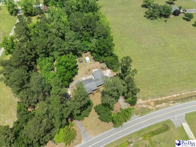 821 W Shirley Rd, Pamplico, SC 29583 - photo 5