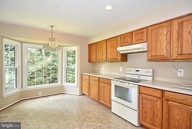 9201 Northedge Dr, Springfield, VA 22153 - photo 6