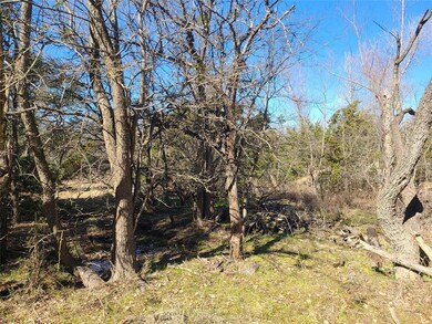 7117 Cedar Valley Dr, Whitney, TX 76692 - photo 5