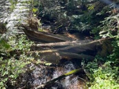 XXXX Burnt Valley Rd, Chewelah, WA 99109 - photo 7