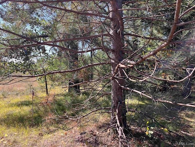 TBD E Martin Lake Rd, Forsyth Township, MI 49885 - photo 6