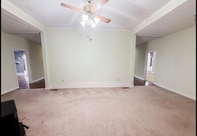 211 S Railroad St, Garfield, GA 30425 - photo 4