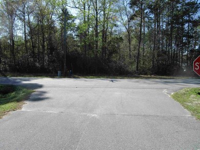 TBD Highway 19, Conway, SC 29526 - photo 5