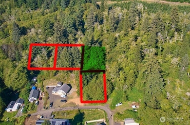 0 Cosgrove St unit NWM2403284, Hoquiam, WA 98550 - photo 4