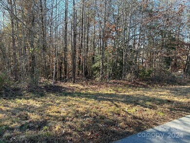 0 Dalmatian St unit CAR4157812, Iron Station, NC 28080 - photo 3