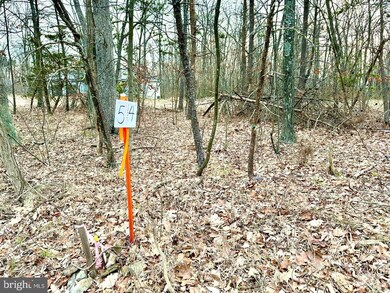 Lot 4 N Timber Ridge Rd, Cross Junction, VA 22625 - photo 2