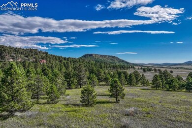 0 S Perry Park Rd unit 9483755, Larkspur, CO 80118 - photo 6