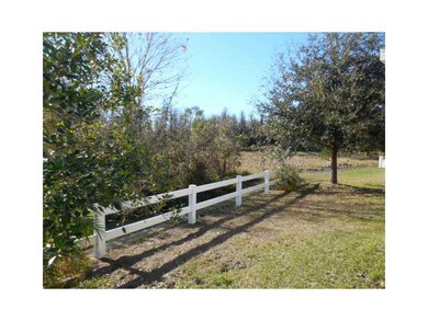 9817 Jasmine Brook Cir, Land O Lakes, FL 34638 - photo 5