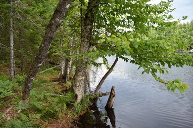 DSC_0261