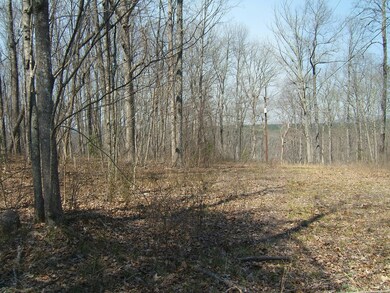 12 S and T Rd, Dunlap, TN 37327 - photo 4