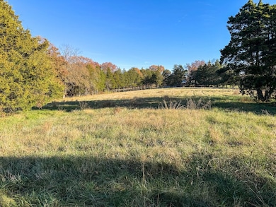 000 Scanlon Dr, de Soto, MO 63020 - photo 5