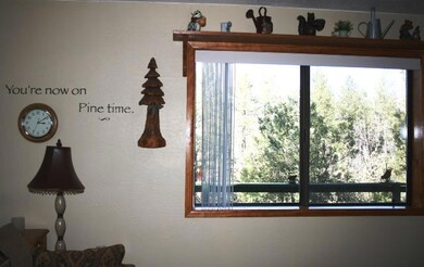 Pine time!