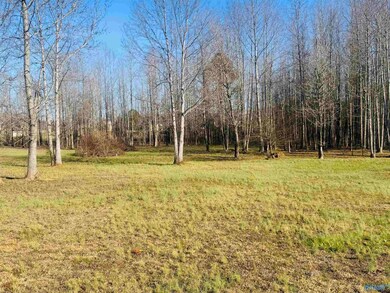 211 Macedonia Rd, Ardmore, AL 35739 - photo 7