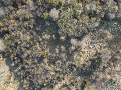 1285 200th Ave, Monmouth, IL 61462 - photo 5