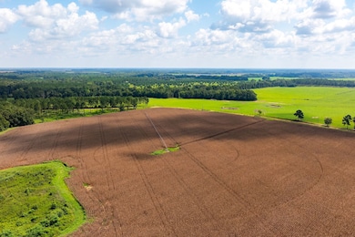 Gin Pond, Bluffton, GA 39824 - photo 6