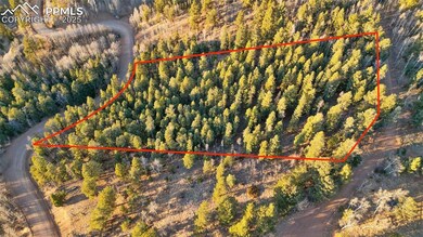 1289 Yorktown Rd, Cripple Creek, CO 80813 - photo 6