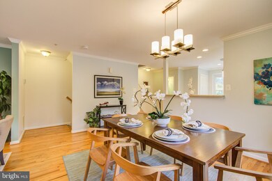 6443 Orchard Ave, Takoma Park, MD 20912 - photo 6