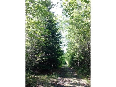 0 N Littleton Rd unit 4509995, Littleton, NH 03561 - photo 4