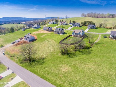 2119KingViewLoop-3