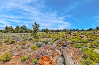 23050 Timland Ln-4