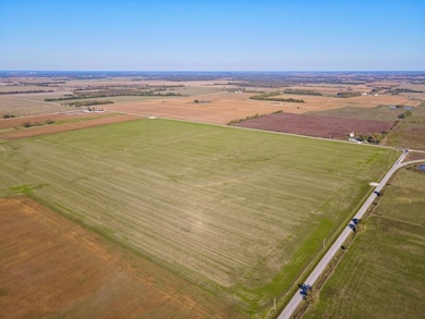 Baseline Blvd and Hwy 37, Golden City, MO 64748 - photo 6