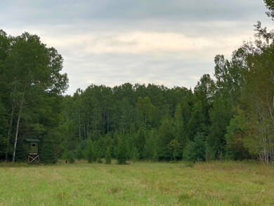 IMG_4837